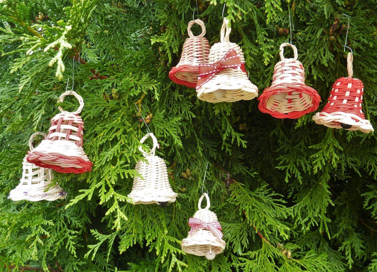 Zvonečky vánoční z pedigu I.