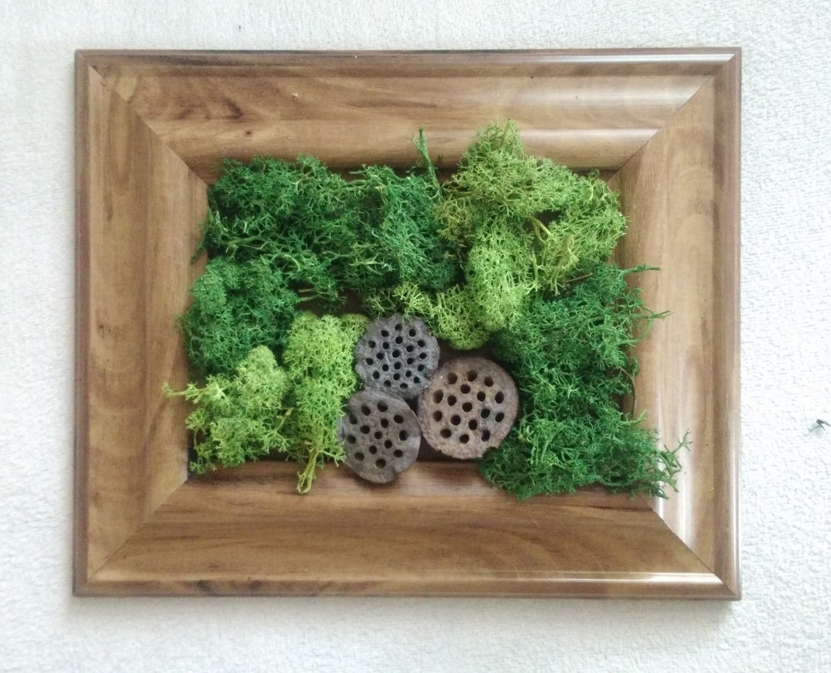 Mechový obraz 13x16