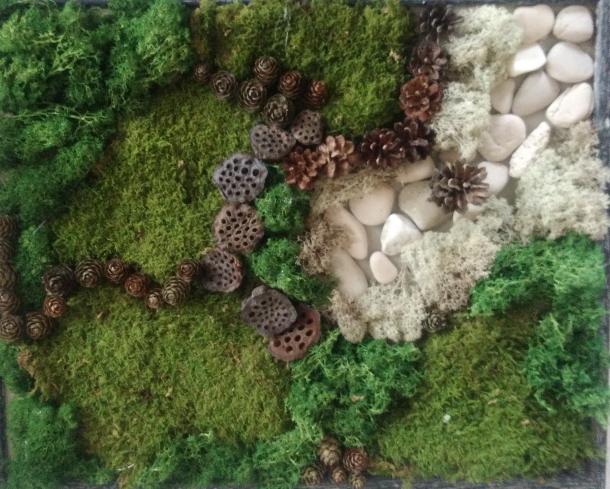 Mechový obraz 40x50