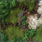 Mechový obraz 40x50