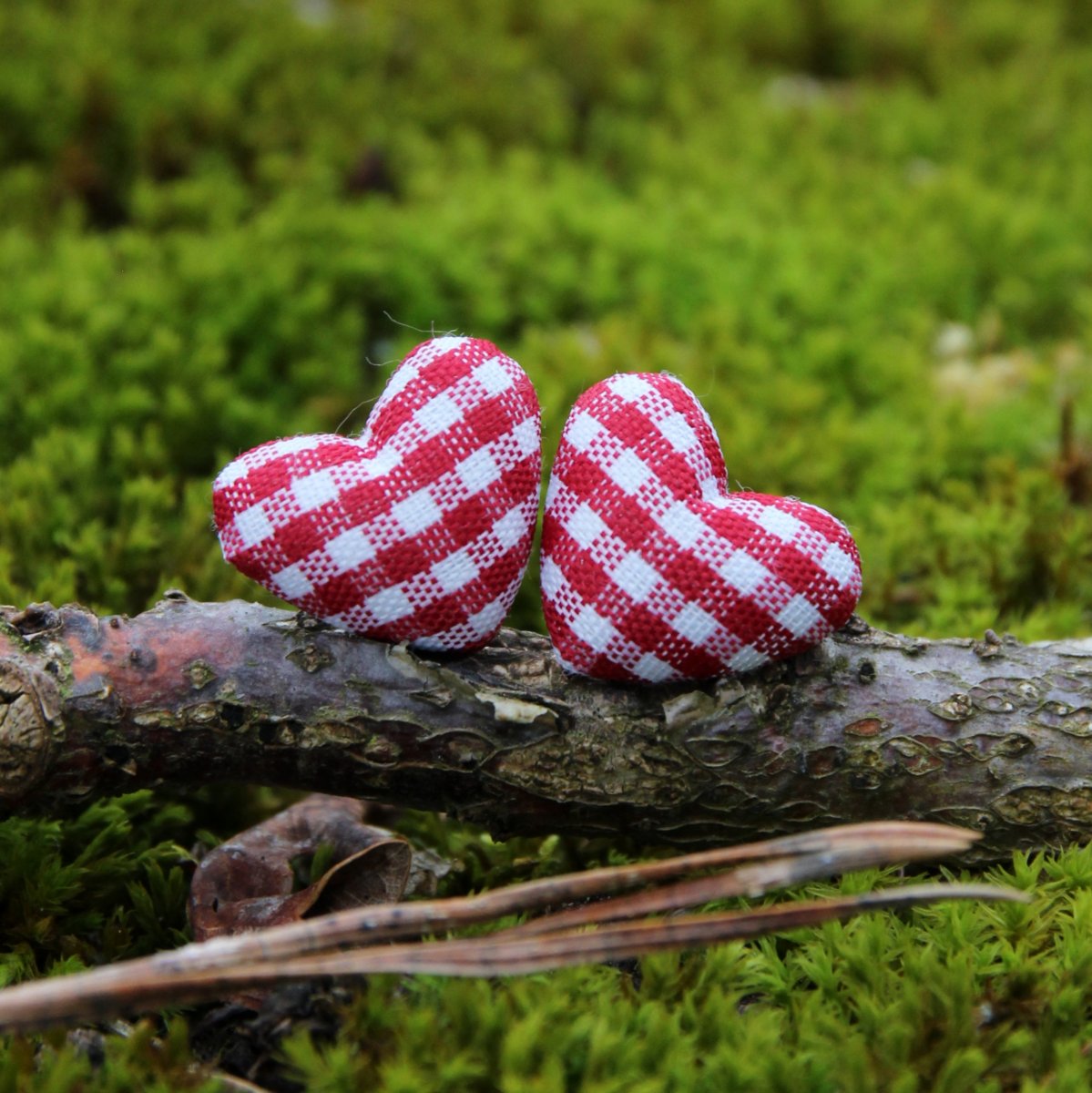 Kostkovaná srdíčka (pecky)