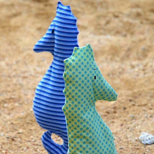 Nahřívací mořský koník