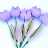 Když jaro přichází a tulipány rozkvétají. č 1084