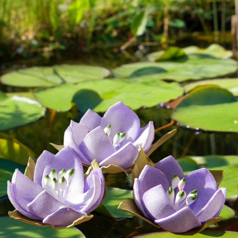 Květinové vlásenky-lekníny