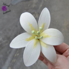 Bílá lilie se žlutým nádechem