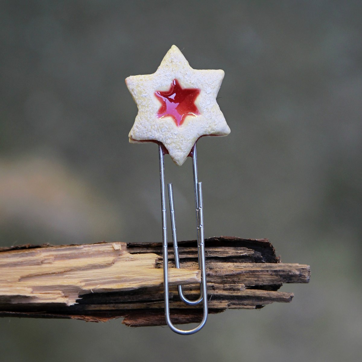 Linecká hvězdička - záložka