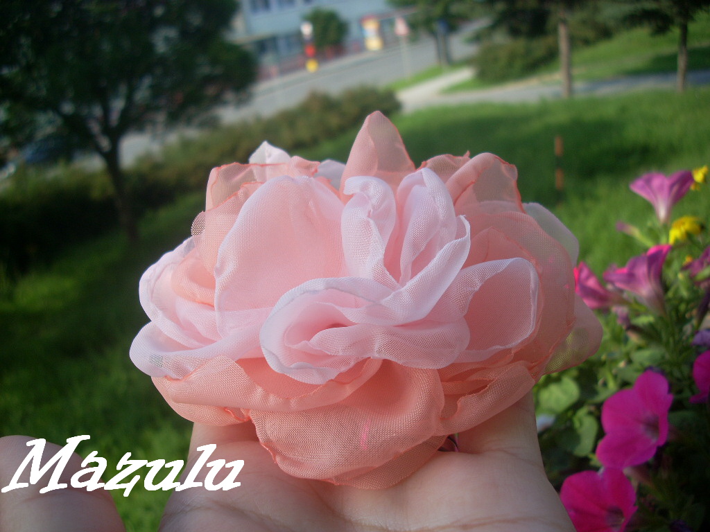 lososová brož ♥ spona