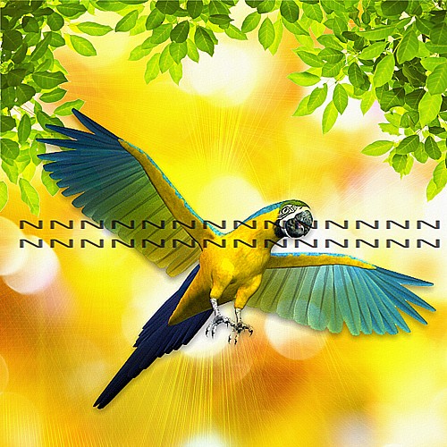 Bavlněná látka - panel  M427