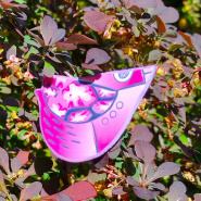 Ptačí brož - magenta