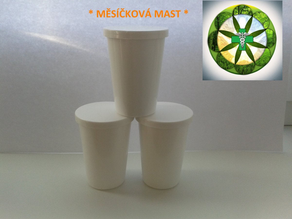 * MĚSÍČKOVÁ MAST *