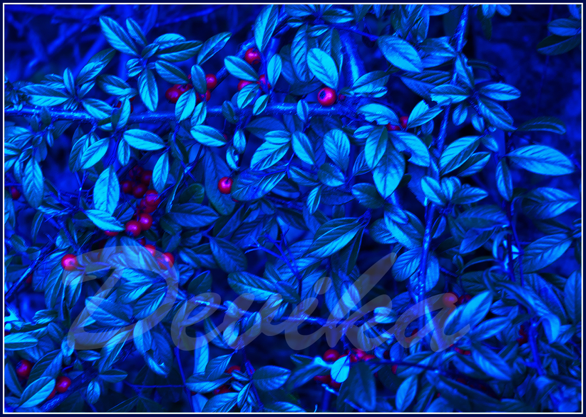 Měsíční svit - A4