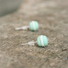 pidi mint makronky