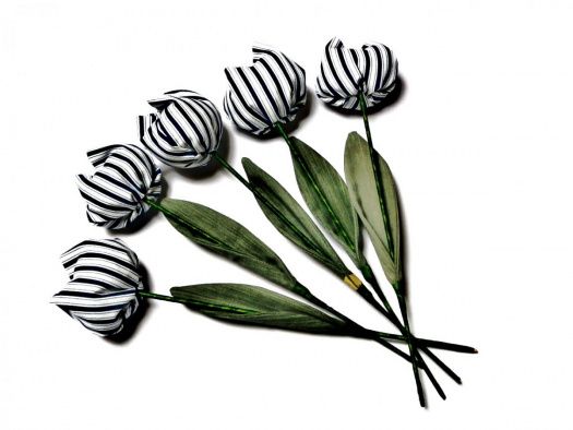 Když jaro přichází a tulipány rozkvétají. č 1048