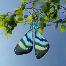 Náušnice motýl - mot131