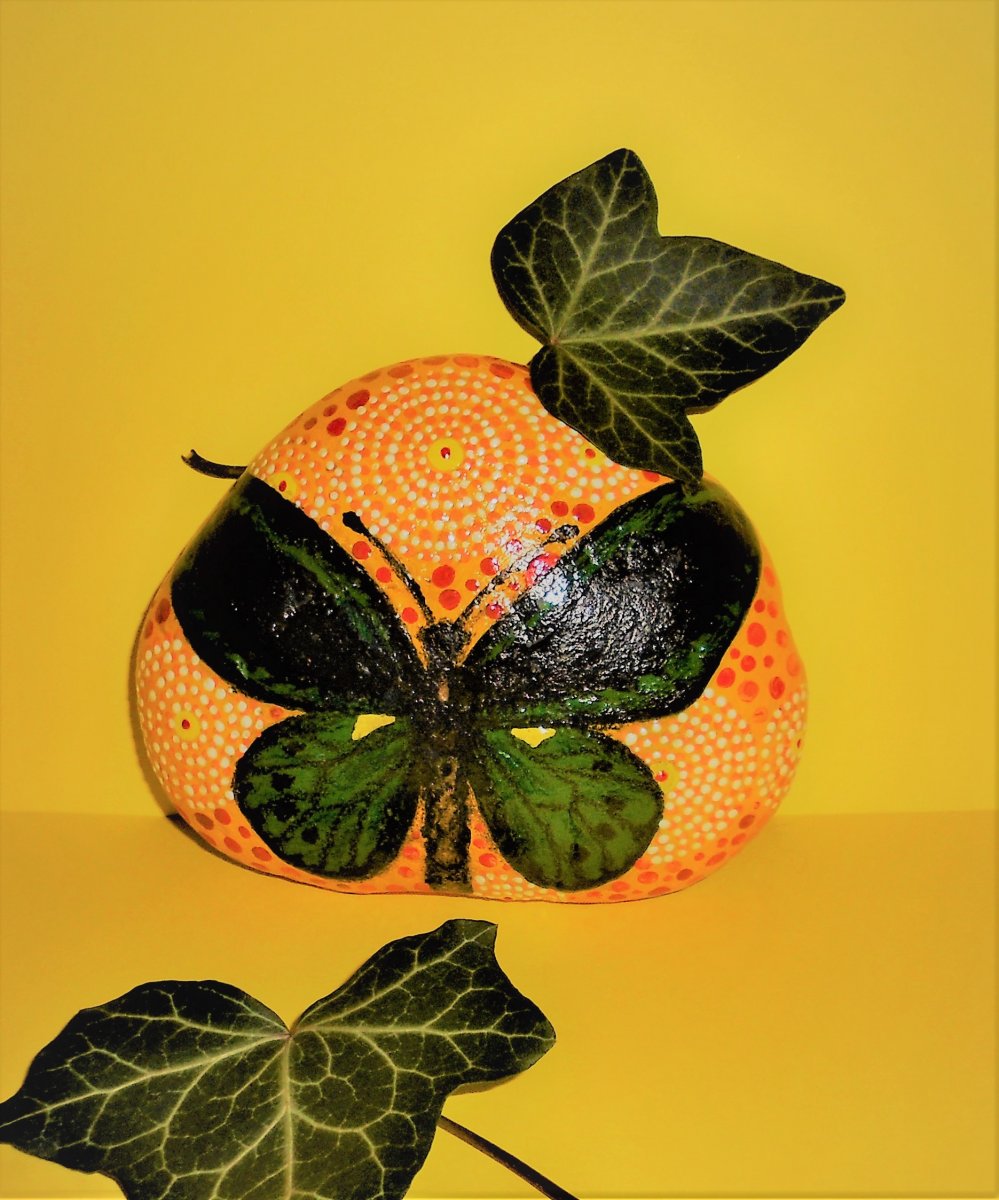 PTAKOKŘÍDLEC PRIAMUS