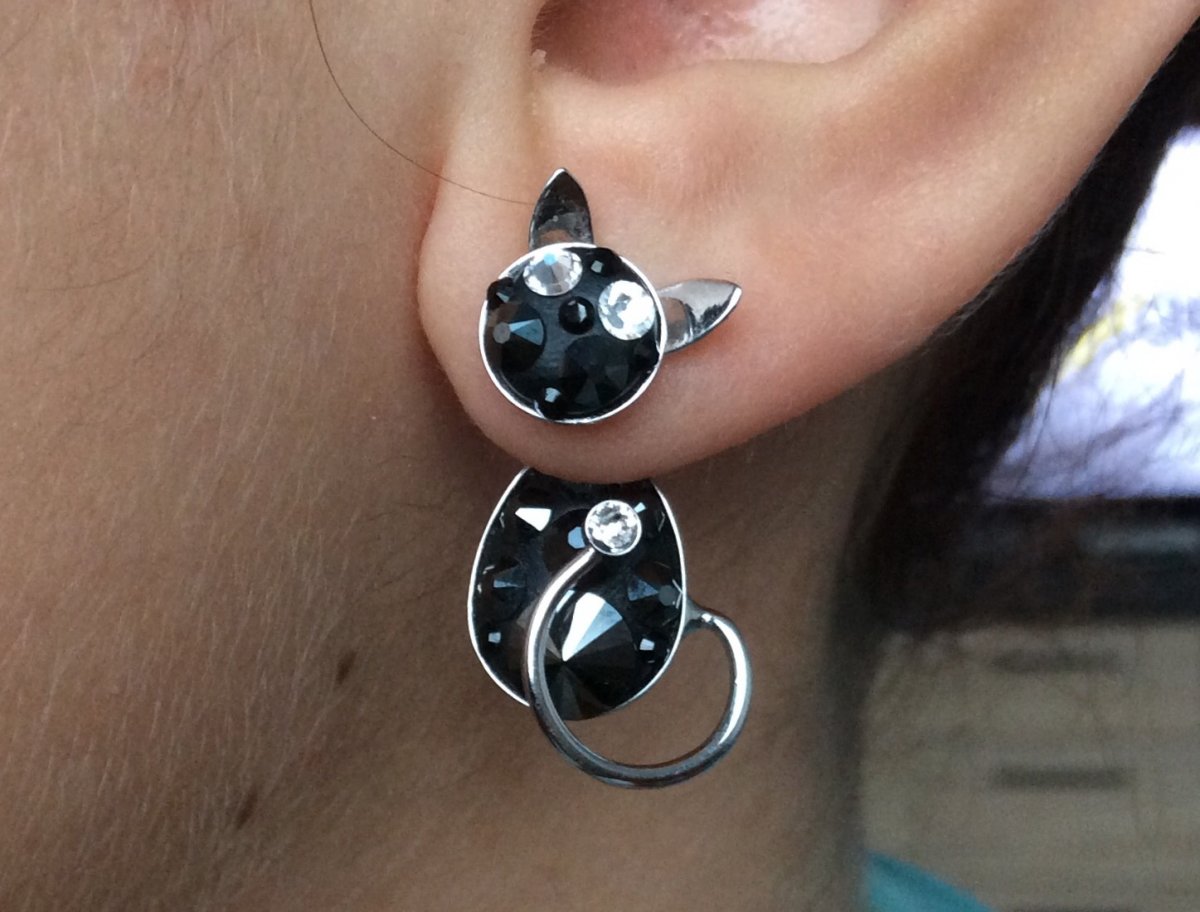 Kočičí záušnice