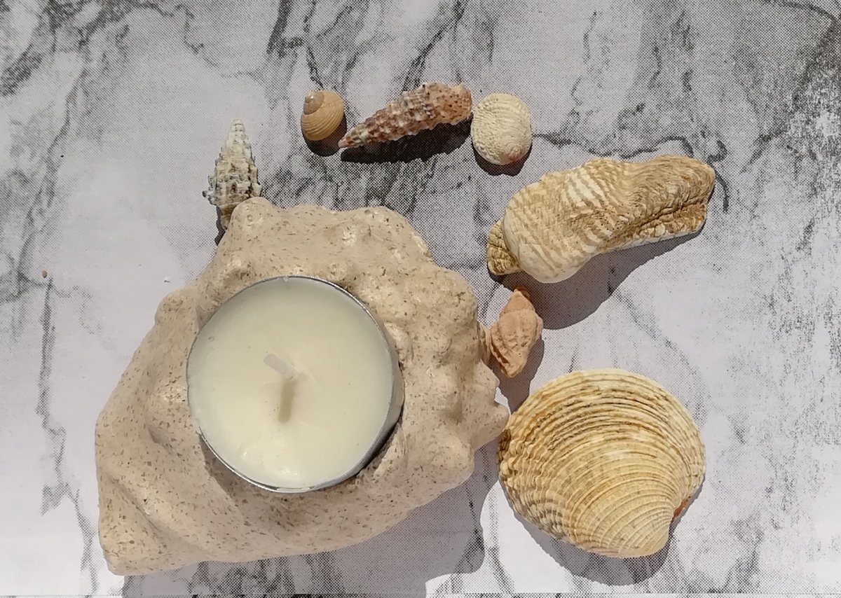 Svietnik mušľa 2