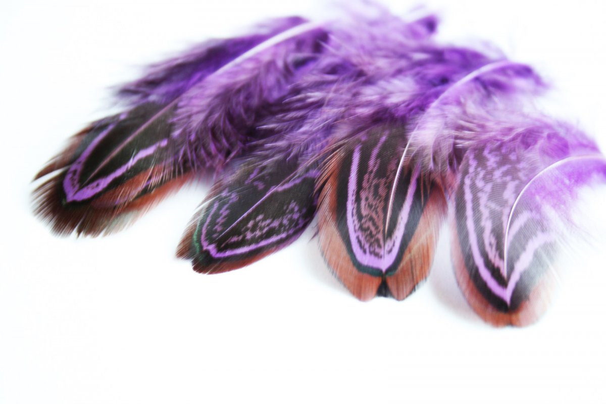 peříčka z bažanta 