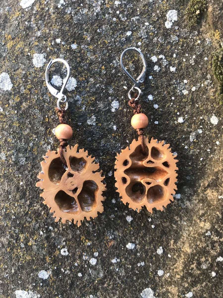 náušnice: ořech (1)