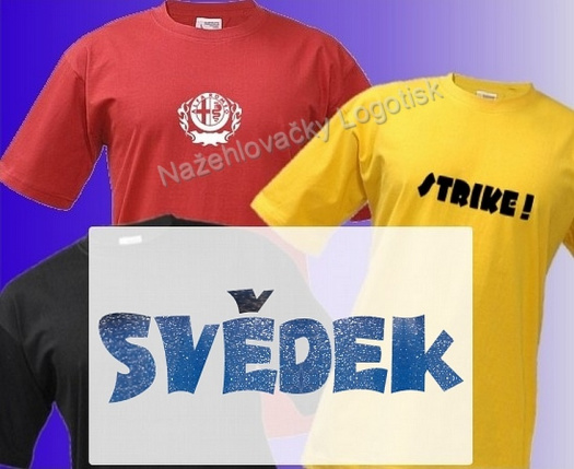 Nažehlovačka glitrová nápis Svědek
