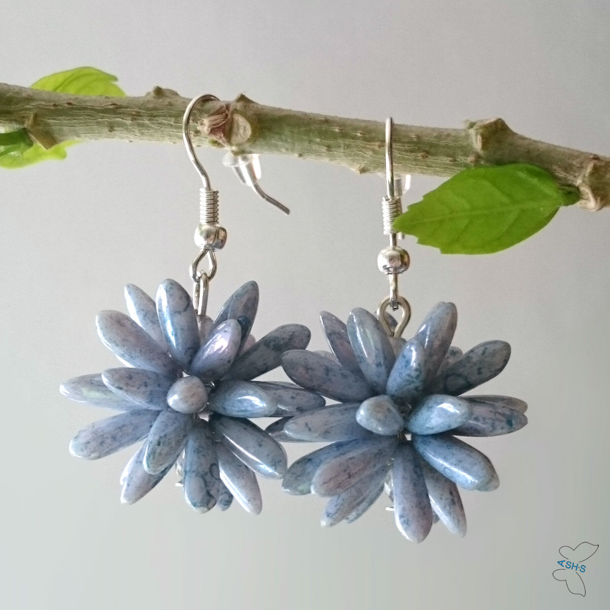 Modrý ježura s mramorováním