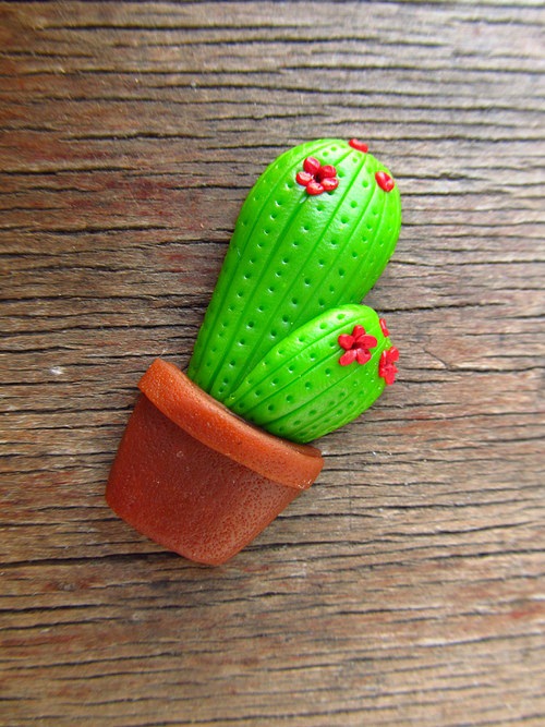 Kaktus - brož