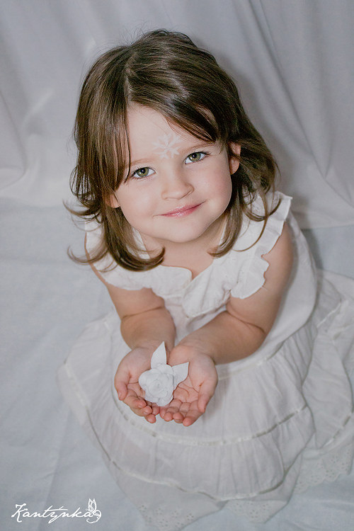 Brož sněhová růže