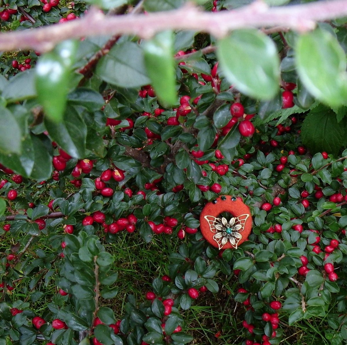 Na křídlech motýla