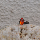 Prsten s oranžovou kapkou