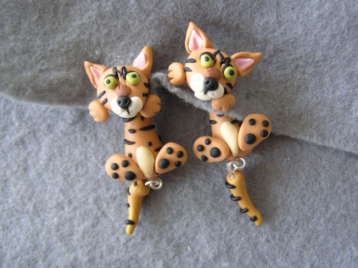 Kočičky na přání