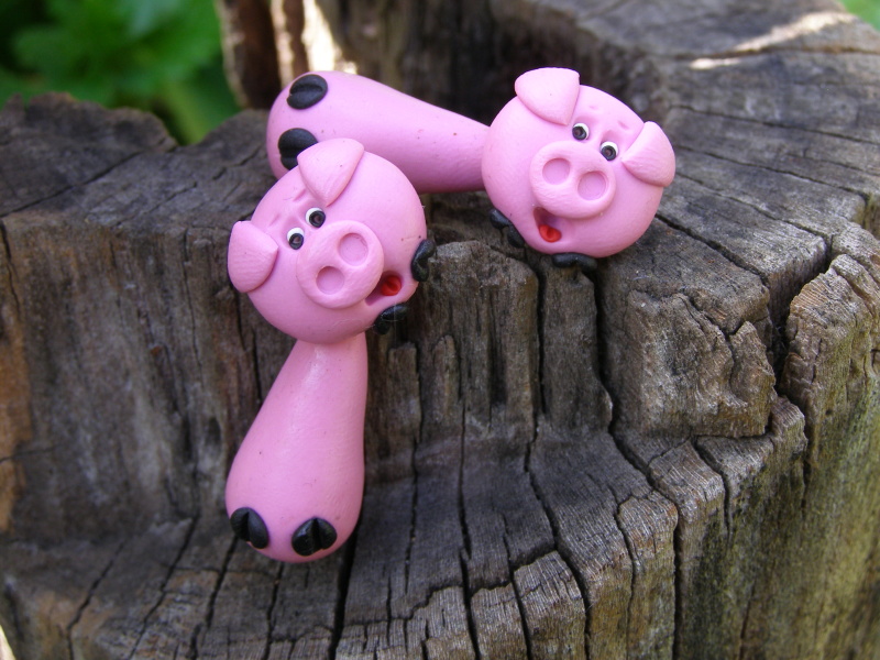 Pašíci přes ouška