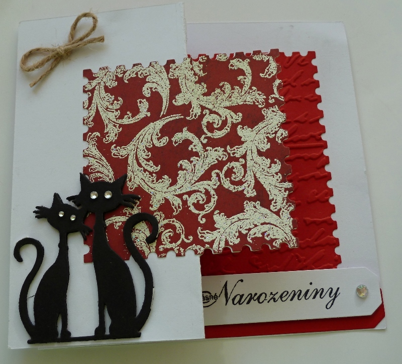 Narozeninové přání kočky