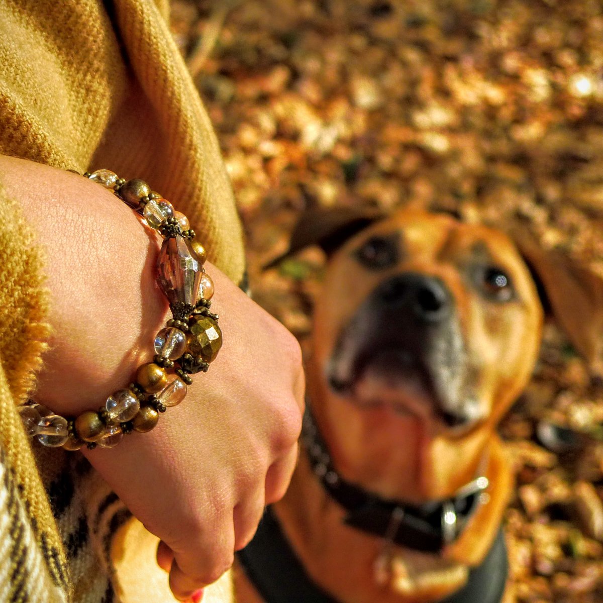 Kovová podzimní sada