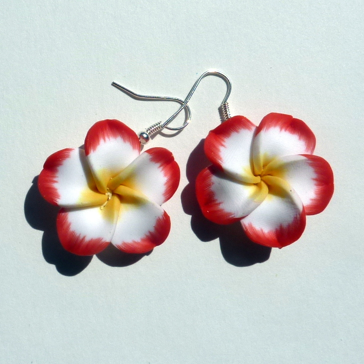 Červeno-bílé kytičky