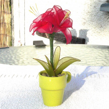 amarilis - nylonový květ