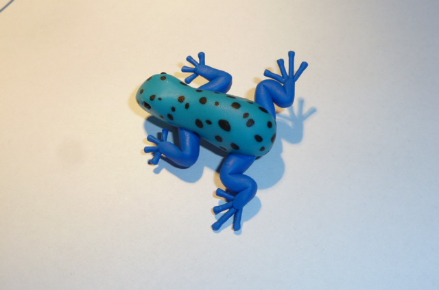 Pralesnička azurová - BROŽ