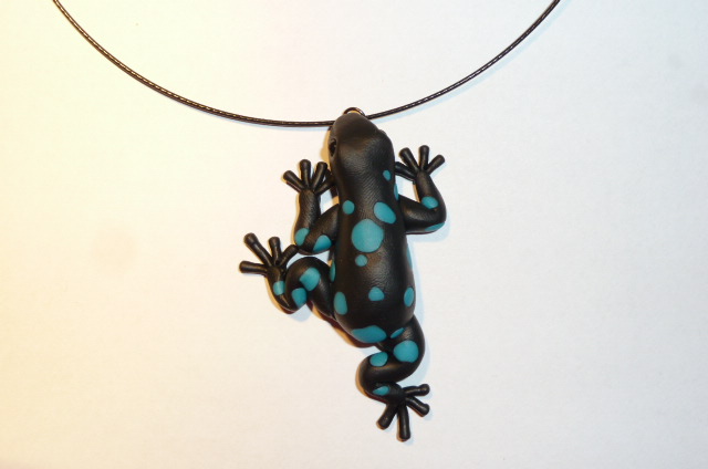 Pralesnička dešťová