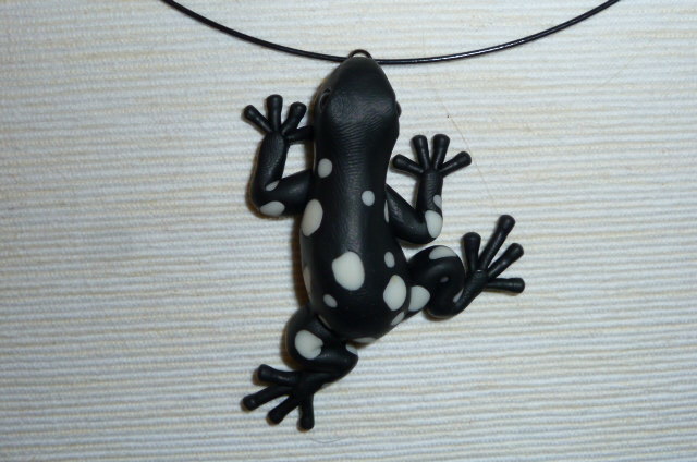 Pralesnička noční