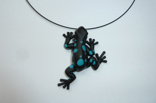 Pralesnička dešťová