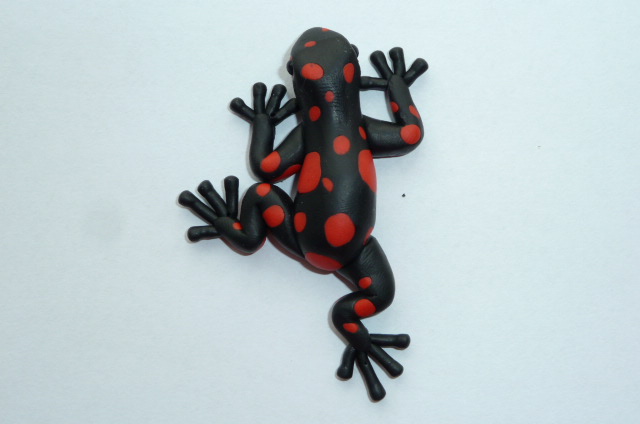 Pralesnička červená