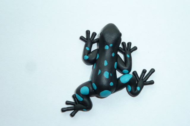 Pralesnička  azurová