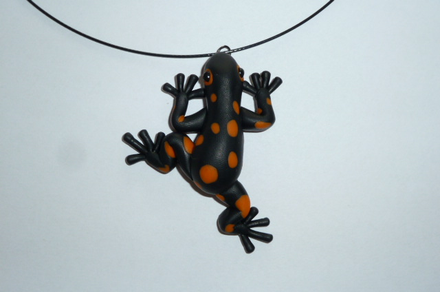 Pralesnička  mandarinková