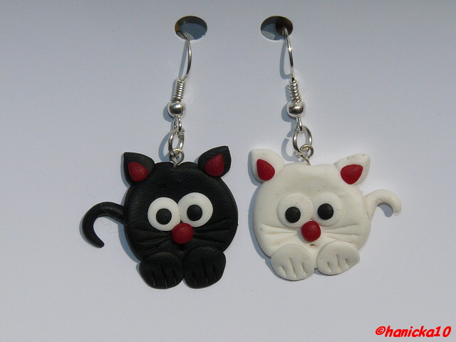 černo-bílé kočičky