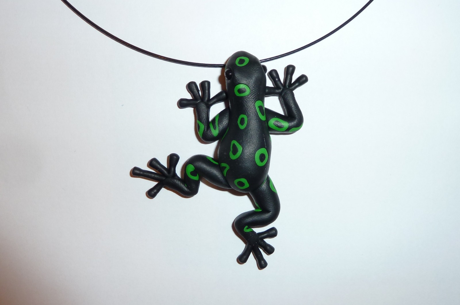 Pralesnička  zelenkavá