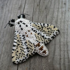 S elegancí na klopě - brožka