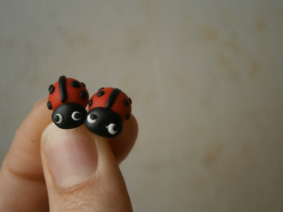 Náušnice berušky puzetky