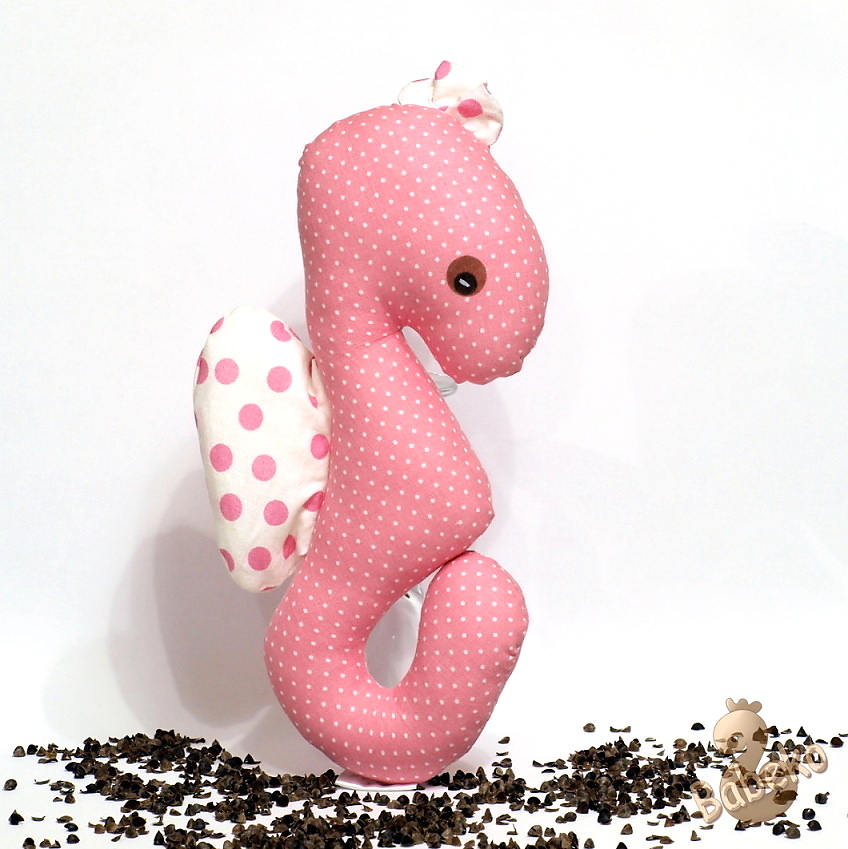 Mořský koník Janička