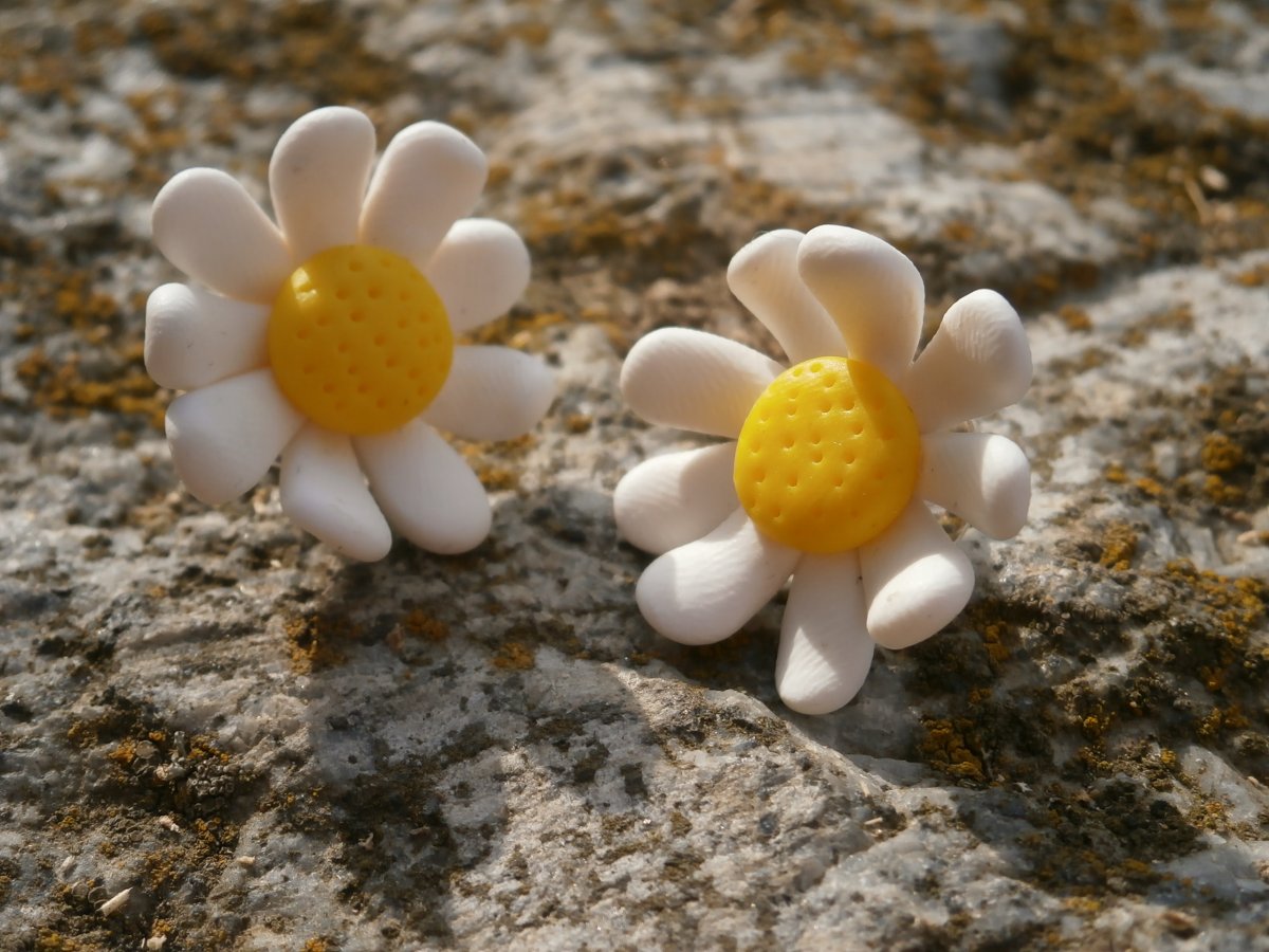 Náušnice kopretiny