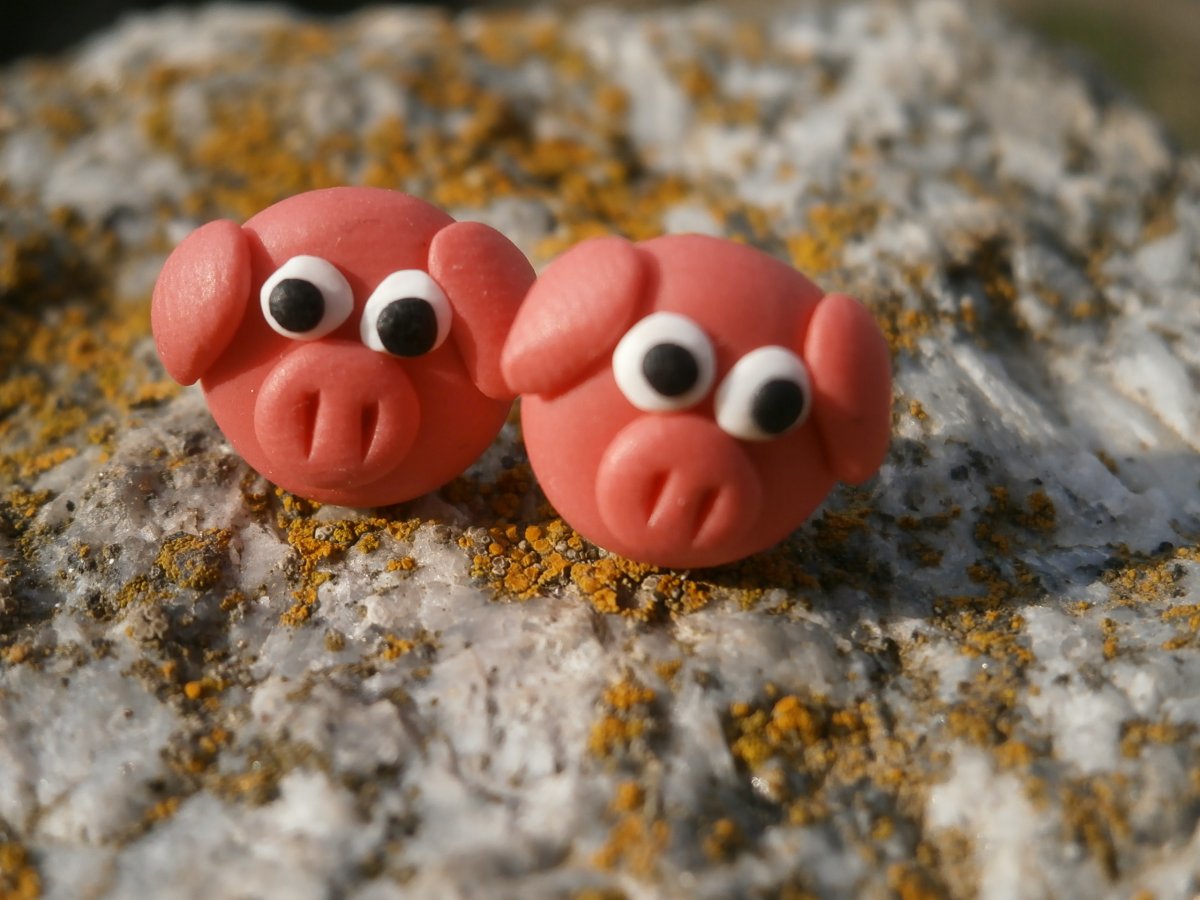 Náušnice prasátka pecky