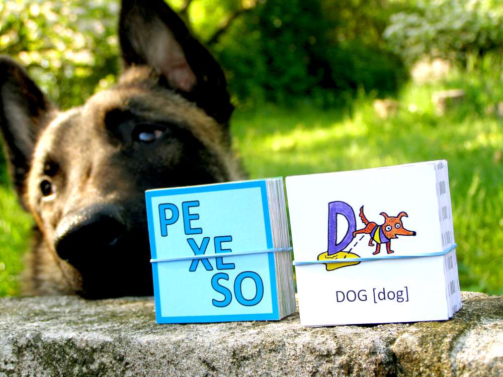 Pexeso Zábavná angličtina - abeceda 